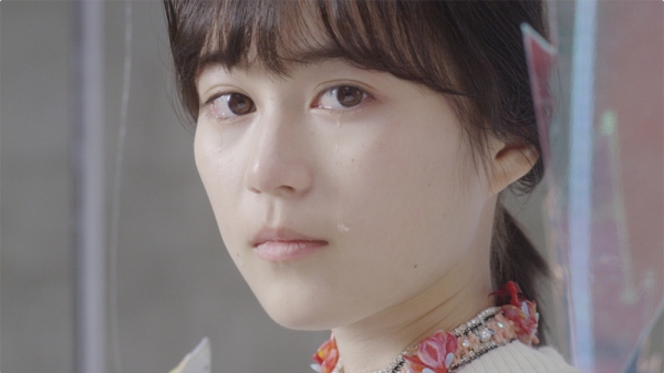 乃木坂46 / 羽根の記憶