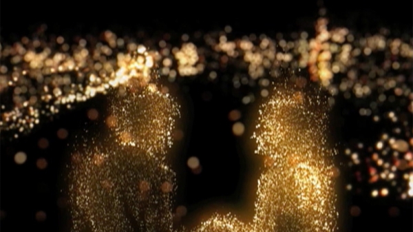 日本コカコーラ株式会社　カナダドライジンジャーエール